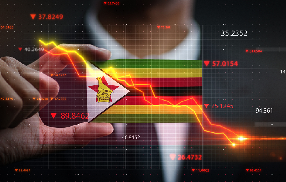 Zimbabwe: When the Breadbasket of Africa is Empty