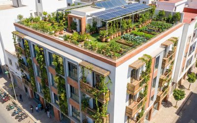 Embracing Eco-Friendly Living in Urban North Africa