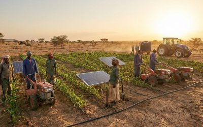 Innovative Farming Techniques for Ethiopia’s Arid Regions