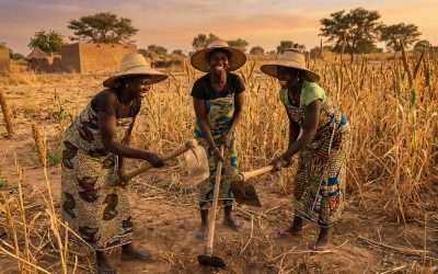 Empowering Women in Agriculture: Success Stories from Chad